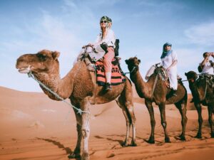 Camel ride in Sahara desert